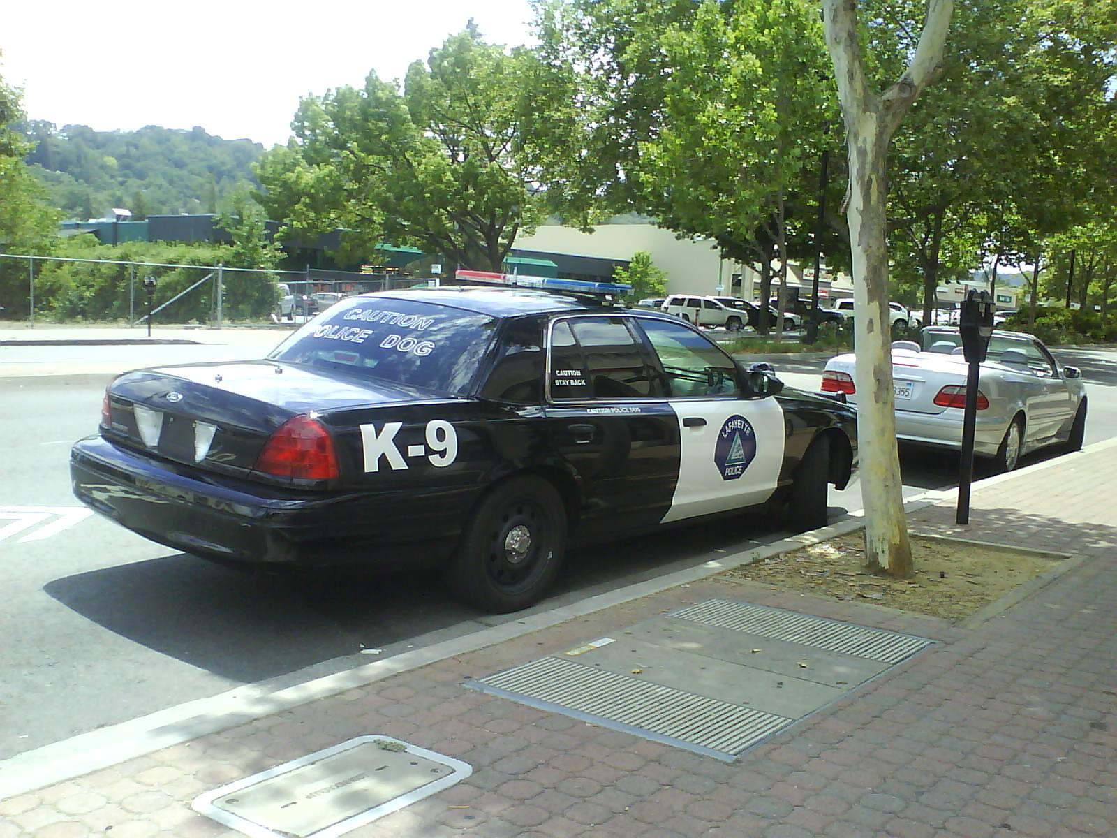f0200756_7452392.jpg