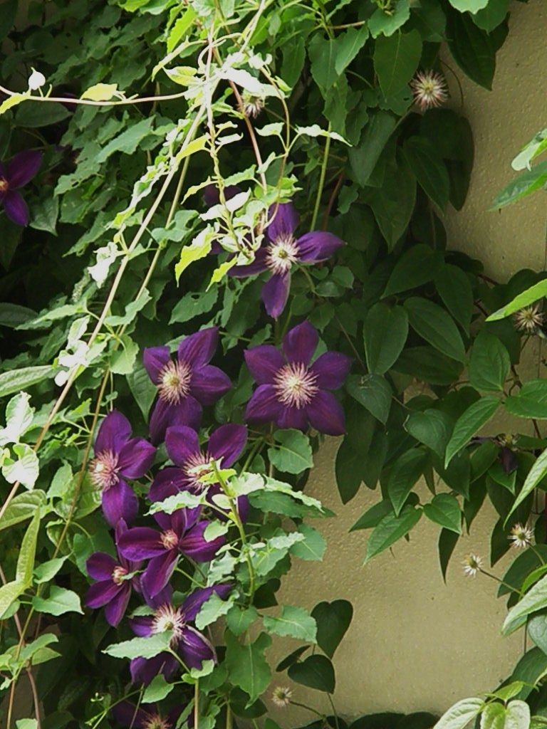 e0064158_23334539.jpg