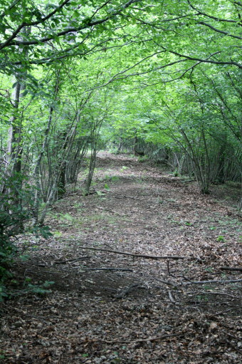 f0077159_2313110.jpg