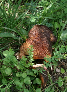 f0077159_23131936.jpg