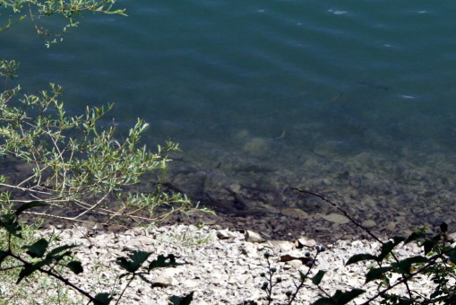 f0077159_23161891.jpg
