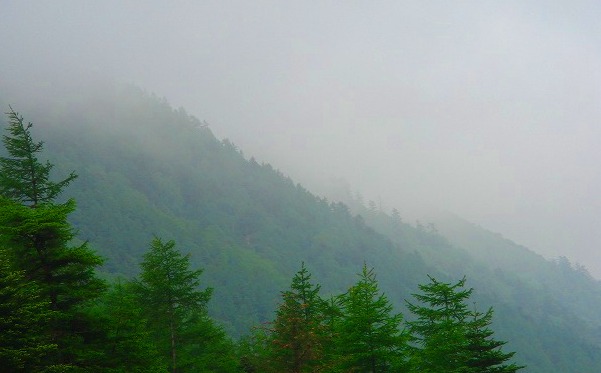 c0119160_1748983.jpg