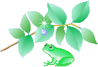c0119160_17494426.gif