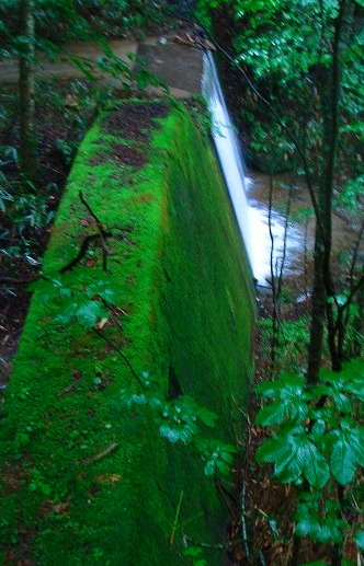 c0119160_1833079.jpg
