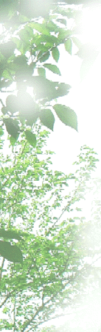 c0119160_18524710.gif