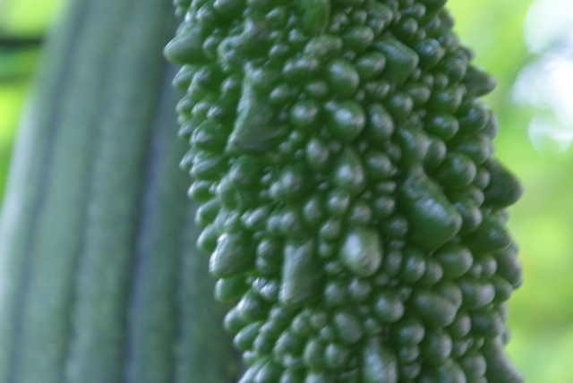 a0091666_1134405.jpg