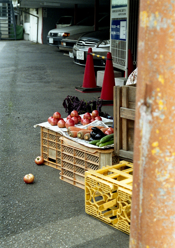 c0084666_2021423.jpg