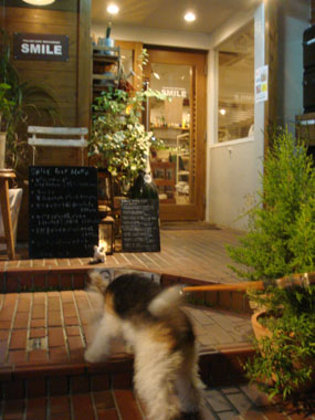 b0091373_1475622.jpg