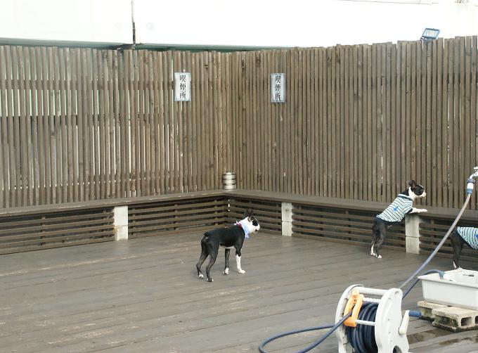 c0179376_18283057.jpg