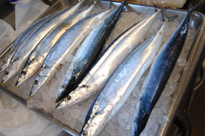 f0054977_1729042.jpg