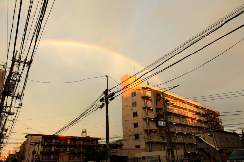 a0026380_22315227.jpg