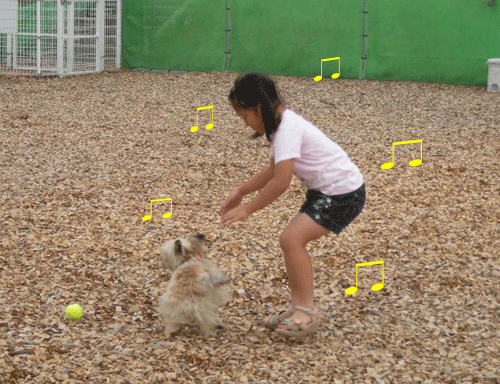 e0066883_2154948.gif