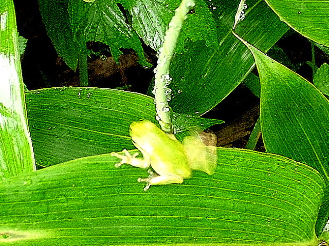 a0007388_1116551.jpg
