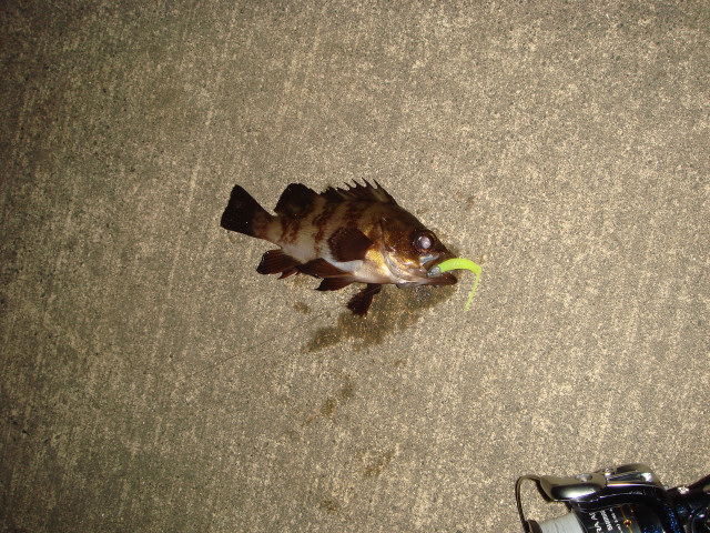 c0139388_2039432.jpg