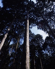 c0160488_1944355.jpg