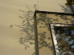 c0160488_1946083.jpg