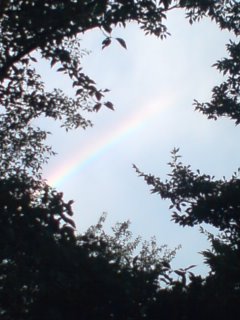 c0123890_21414739.jpg
