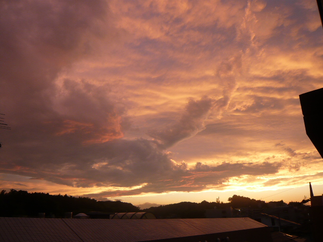 d0087091_2155087.jpg
