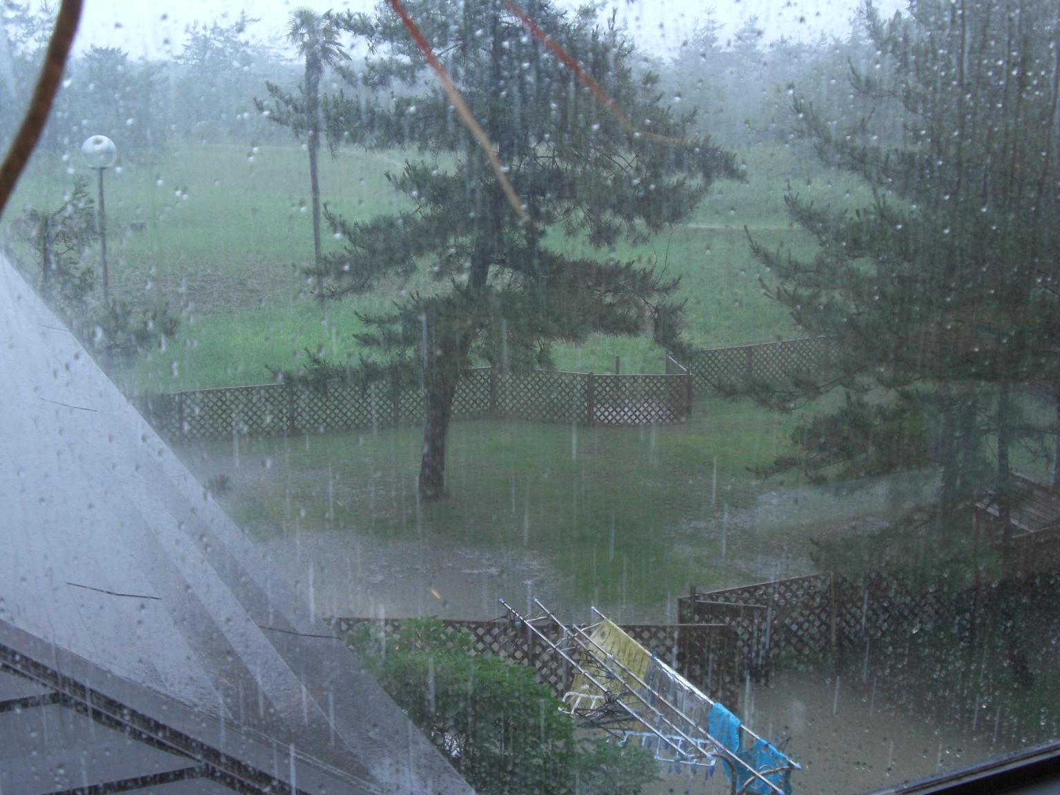 f0131491_17254739.jpg