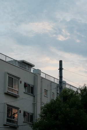 d0133693_9164818.jpg