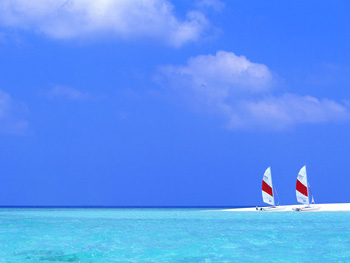 f0164794_8261696.jpg