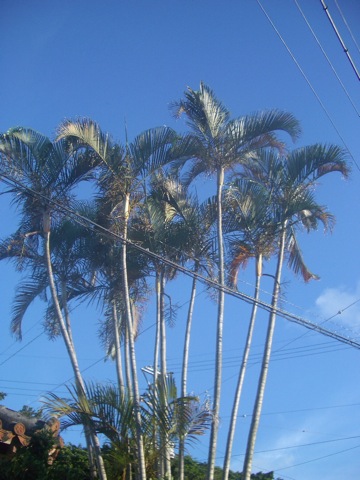 c0193396_11355419.jpg