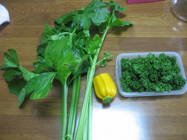 f0202703_1727538.jpg