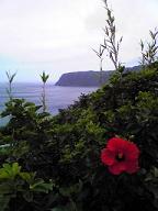 f0143504_123669.jpg
