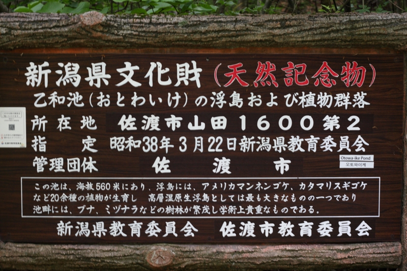 b0180907_22353010.jpg