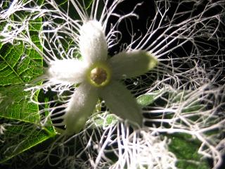 f0077807_20264824.jpg