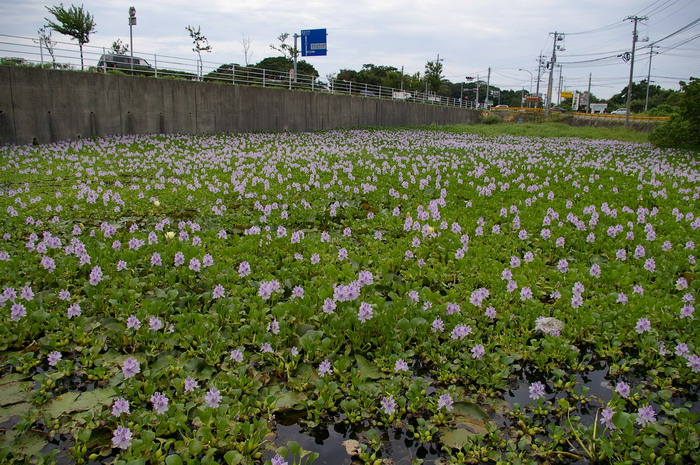b0052108_036367.jpg