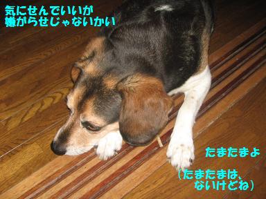 d0104209_2142411.jpg