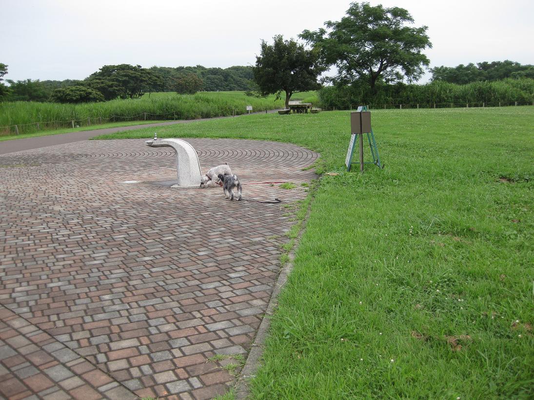 f0179209_20521679.jpg