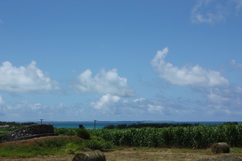 d0077811_13454742.jpg