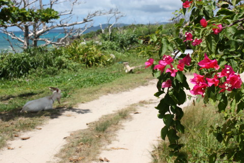 d0077811_155144.jpg