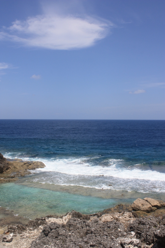 c0000816_1453205.jpg