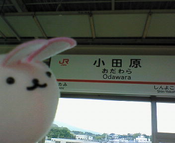 d0013816_7295835.jpg