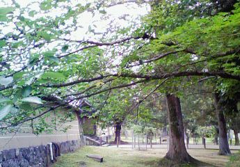 b0188121_23585326.jpg