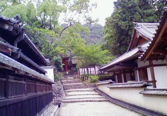 b0188121_23595166.jpg