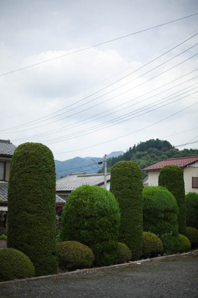 f0077521_1922494.jpg