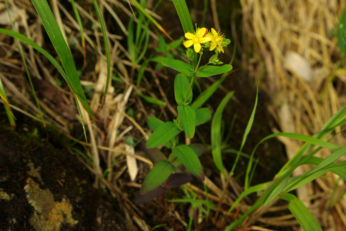 b0062024_23475811.jpg