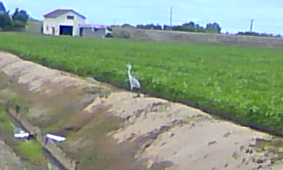 a0117226_23122355.jpg