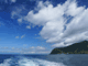 a0098027_16583762.gif