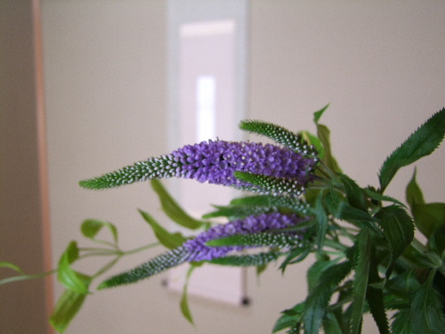 a0000029_0165158.jpg