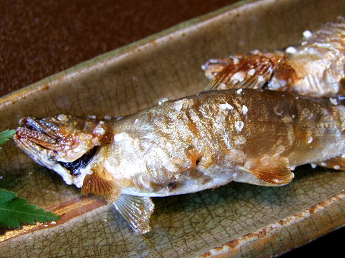 a0000029_143946.jpg