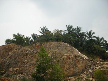 f0137331_14194255.jpg