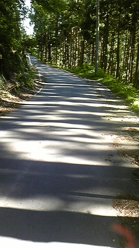 f0161333_6321868.jpg