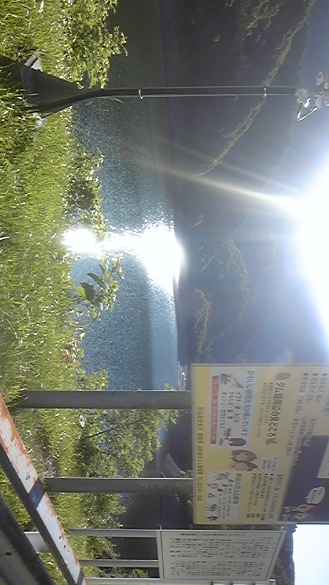 f0161333_6321898.jpg