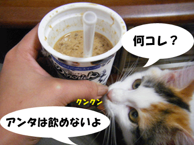 f0008935_6132651.gif