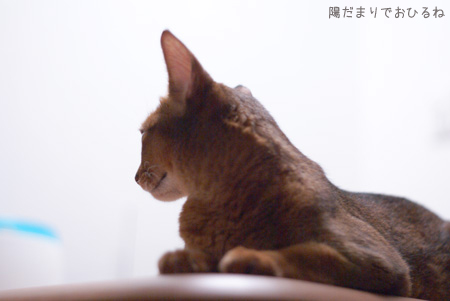 c0132438_2229053.jpg